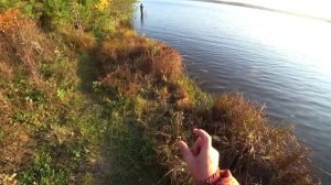 ВЫСТАВИЛ ЭТУ СНАСТЬ, ЗАНЁС РЕЗИНКУ И ДВЕ УДОЧКИ! И ВОТ ПОКЛЕВКА! ЩУКА НА ЖИВЦА! БУТЫЛКИ ИЛИ РЕЗИНКА
