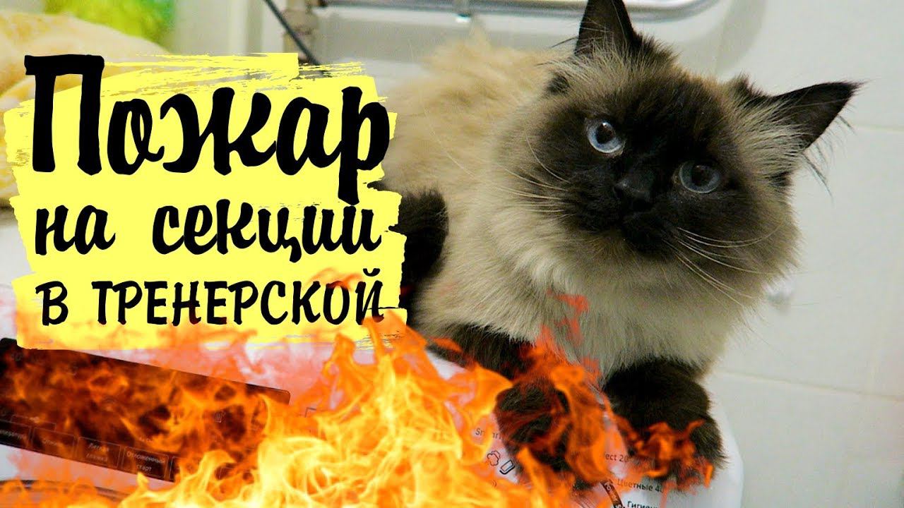 VLOG: Пожар в тренерской на секции / Сгорела Сашина доска для сноуборда / Влог/Vika Siberia LifeVlog