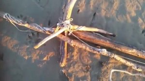 рыбалка на Индигирке