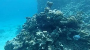 Египет. Морской заповедник Рас Мохаммед