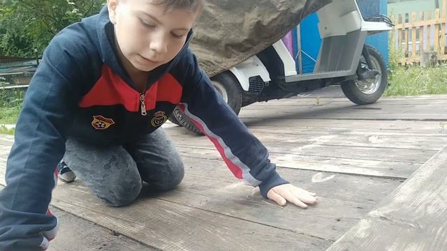 Утро в деревне началось с отжимания