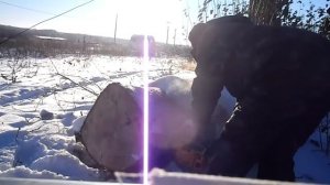 Тест драйв пилы Беларусь БП 65 - м .