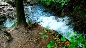 Русанов ключ и заповедник Донские беседы. Единственный водопад в Черноземье (2022, Задонский район)