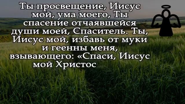 † ОТКРОЙ СЧАСТЬЮ ДВЕРИ И ВПУСТИ ЕГО В СВОЙ ДОМ! Февраль Станет Самым Важным месяцем в этом году смотреть онлайн