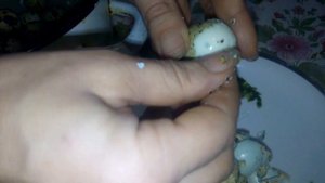 РЕЦЕПТ СВЕКОЛЬНОГО МАРИНАДА ПЕРЕПЕЛИНЫХ ЯИЦ В ДОМАШНИХ УСЛОВИЯХ