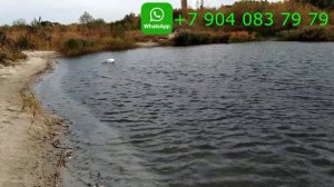 Прикормочный УЛУЧШЕНЫЙ КОРАБЛИК ХАСКИ НА ВОДЕ В СИЛЬНЫЙ ВЕТЕР.