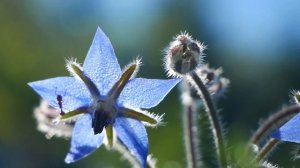 Расслабься после тяжелого дня, музыка для релакса, музыка для сна, успокоение души . музыка для йог