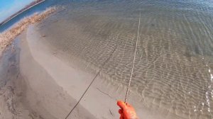 поисковый магнит на Дону. пляжный поиск 5.03.19