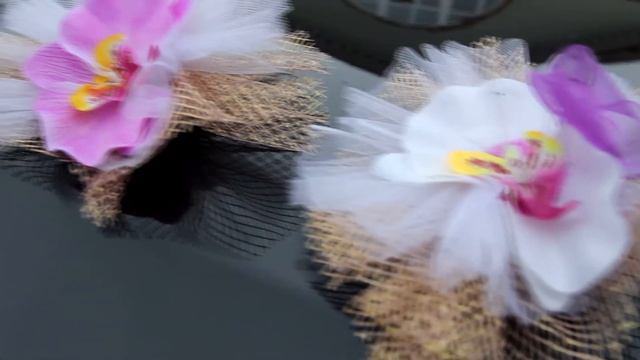 Свадебное видео Минск Диана и Валера Видеограф Екатерина Дмитриенко смотреть онлайн