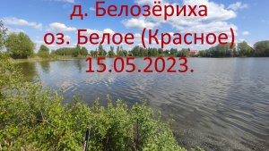 Видеоминутка. д. Белозёриха. оз. Белое.(Красное) 15 05 2023