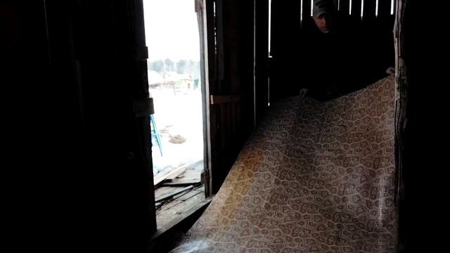 КУПИЛ ДАЧУ! Начал ремонт дачного сарая