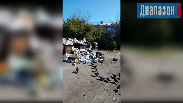 Вывоз мусора оплачиваем, но вывозят не вовремя смотреть онлайн