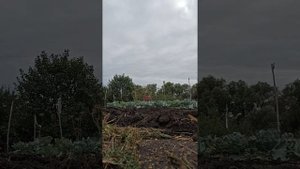 пашу плугом на мотоблоке нева