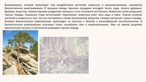 Внешние силы, изменяющие рельеф. География 5   класс