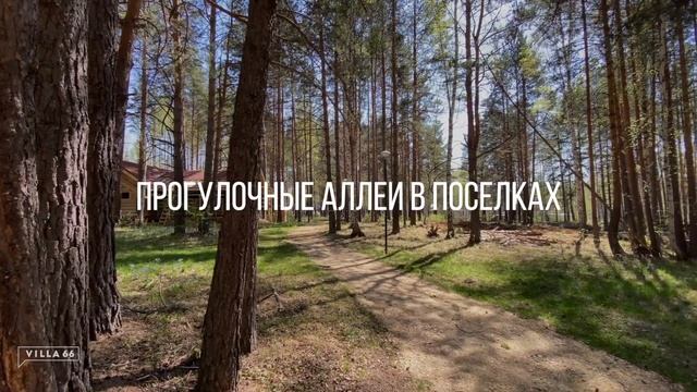 Коттежный поселок "Заповедник". Лесные тропы