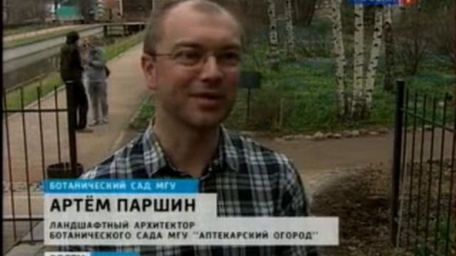 Фестиваль цветов открылся в Ботаническом саду МГУ смотреть онлайн