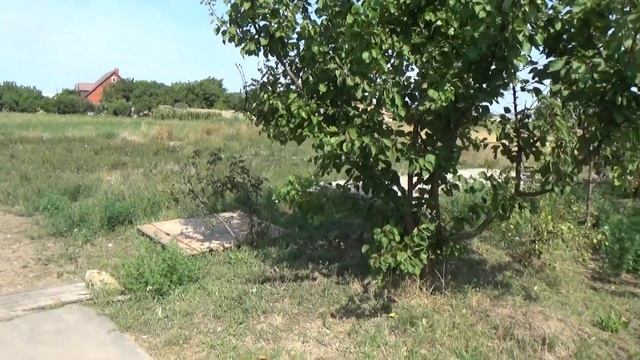 влог, утро в Лазурном, где живём, обзор территории, коля оля шаповаловы