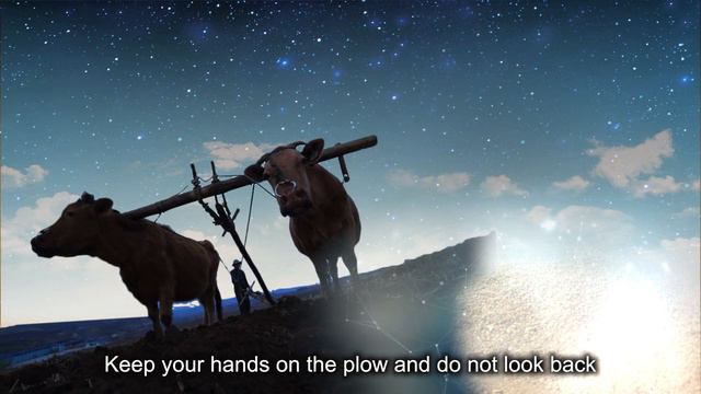 Deewanaya nu kadi parwa | Cover by - Muqadus Anthony | Live смотреть онлайн