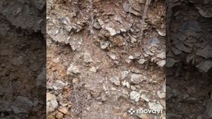 Поездка на золотоносный ручей, левый приток