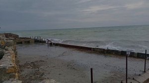 Немцы в России | купили Автомобиль |многодетная семья