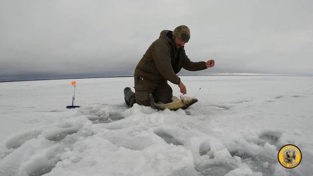 Закрытие сезона на Воже. Часть 5. Выбраться с озера смотреть онлайн