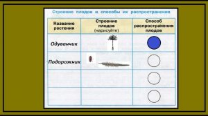 Размножножение и развитие растений 3 задание.Окружающий мир 3 класс рабочая тетрадь. Плоды.