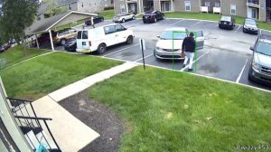 Собака съела кота.