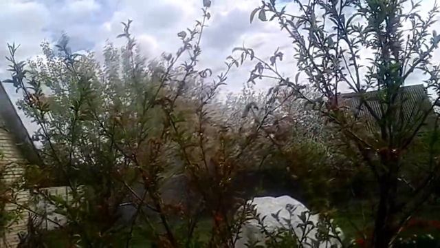 Обработка персика Бордосской жидкостью смотреть онлайн