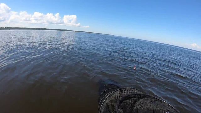 Рыбалка на Финском заливе. Бронка. #рыбалка #рыбалкаслодки #финскийзалив