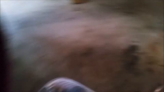 Lexus SC400 Power Steering Whine Fix смотреть онлайн