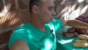САМЫЕ ЛУЧШИЕ СОРТА КАРТОФЕЛЯ