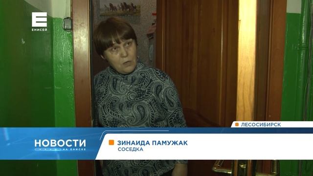 Жительница Лесосибирска устроила в квартире многоэтажки курятник смотреть онлайн