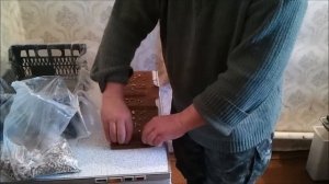 Вешенки из картонного буррито (ч.1)