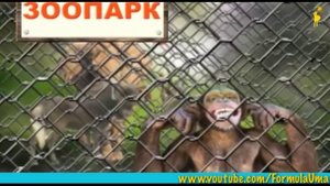 Детям о природе