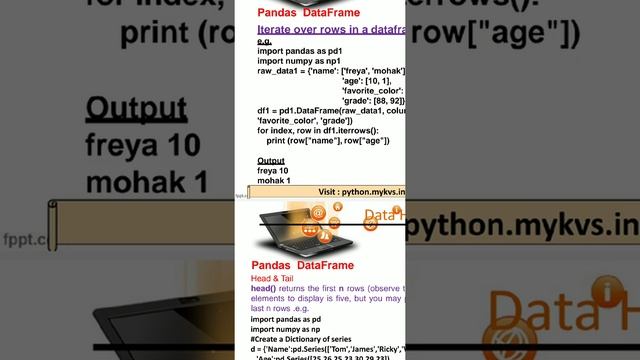 Pandas dataframe head n tail method
