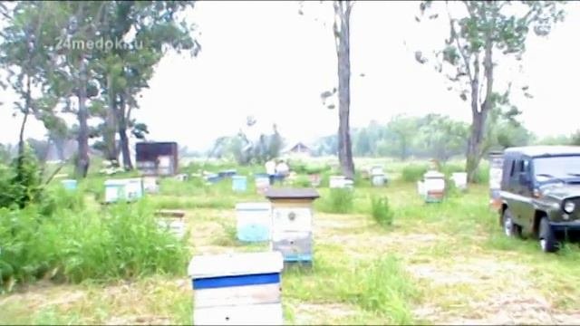 Кочевая пасека Старчевских. Сибирь