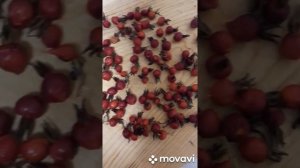 ЧАЙ! ?СБОР ТРАВ ДЛЯ ЧАЯ НА ЗИМУ