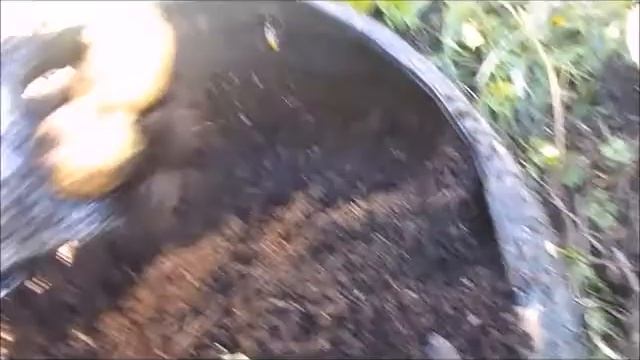 Картошка в баллоне. Венета смотреть онлайн