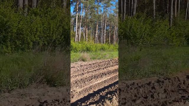 РГ Бай это можно слушать вечно.... Релакс!! смотреть онлайн