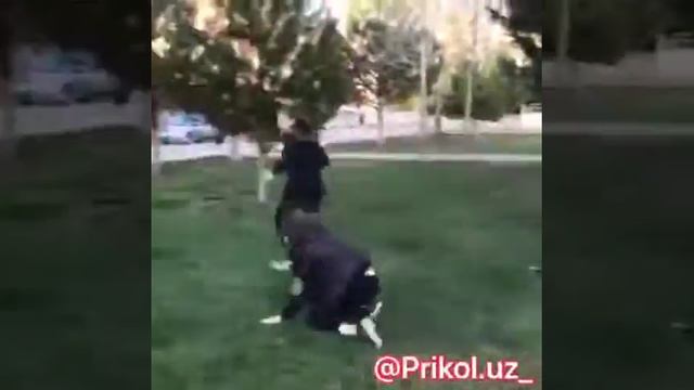 #как напугать девочках смотреть онлайн