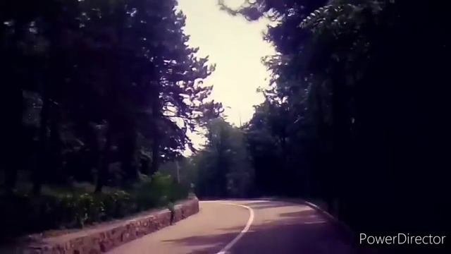 Как это было Дуэль Лермонтова (вместо истории )