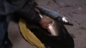 Моя рыбалка. Альпийская деревня. Часть 2