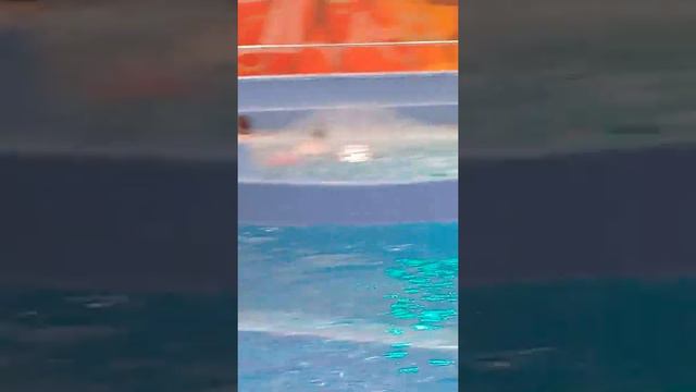 Белгородский аквапарк👍 смотреть онлайн