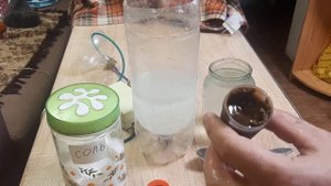 ОБЗОР. Артемия Эмбрион (декапсулированная циста артемии для инкубации)