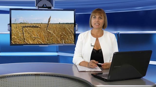 На 80-ти процентах крымских полей собран урожай зерновых и зернобобовых. смотреть онлайн