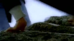 Белый орёл я по тебе скучаю