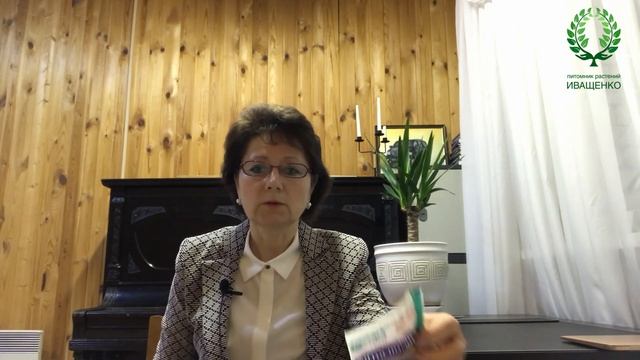 Болезни Роз -1ч/ Мучнистая роса и Ложная мучнистая роса на розах  Профилактика и Лечение.