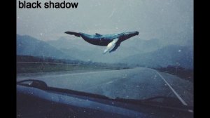 Синий Кит - Музыка до слез...