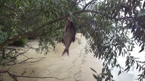 Рыбалка в Угличе