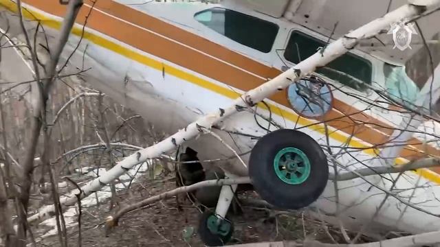 Компания самолет. Самолет совершивший жесткую посадку. Самолет совершивший жесткую посадку. Экипаж воздушного судна. Самолет совершивший жесткую посадку.